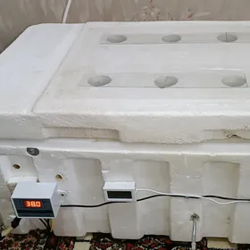 инкубатор