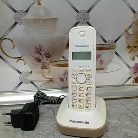 Panasonic