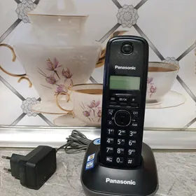 Panasonic