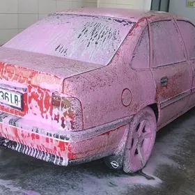 Opel Vectra 1991