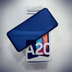 a20