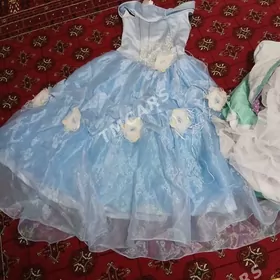 койнек