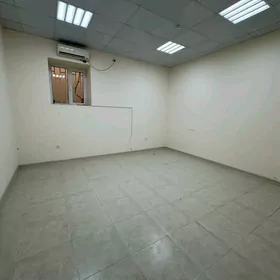 Arenda Swaboda 3 kom Padwal