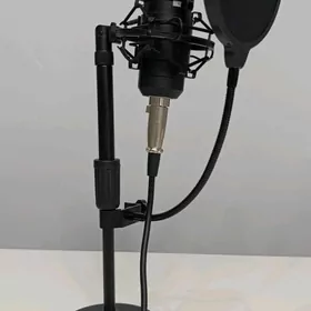 Mikrofon