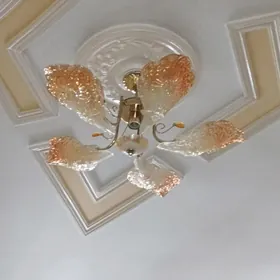 LÝUSTRALAR.