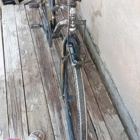 shimano