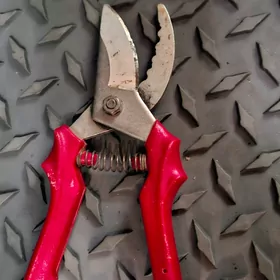 Секатор