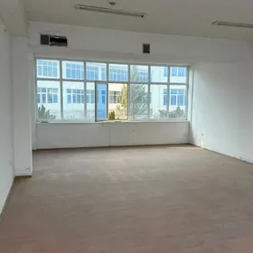 ammarlar merkezi ofisler