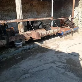 dogmadik unajyn