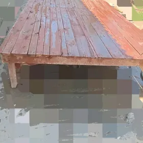 Tapjan.