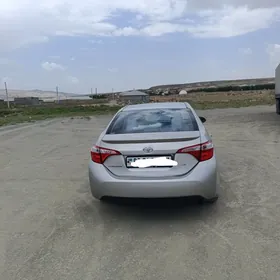 Toyota Corolla 2016