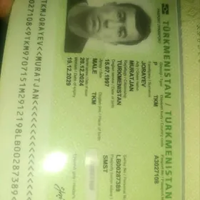 zagran pasport yitirdim