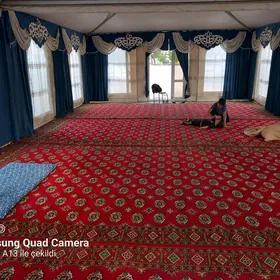 GUMMEZ PALATA PROKAT 800 MT