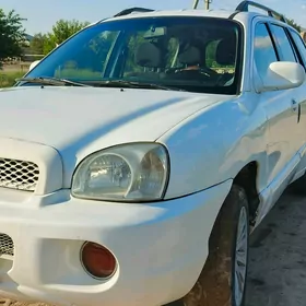 Hyundai Santa Fe 2002