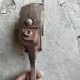 Maz tyrşotka