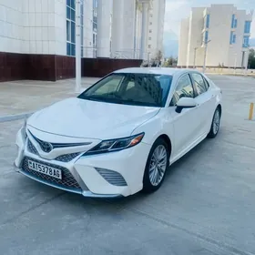 Toyota Camry 2019