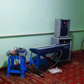 TOÝ APARAT KORG PA800