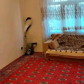 Аренда квартира