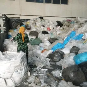 Gyz gelin işgär gerek