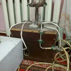 pahda marojni