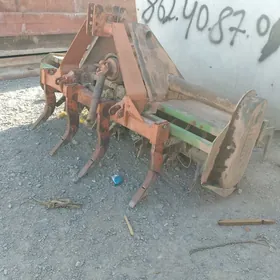 Kesek dowyan