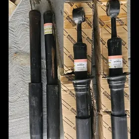 amassator