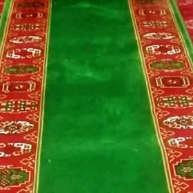 haly palas darosga