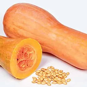 Kädi, palow kadi.