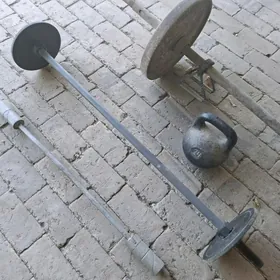 sport enjamlary