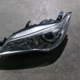 gylyc camry cep tarap fara