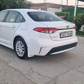 Toyota Corolla 2021
