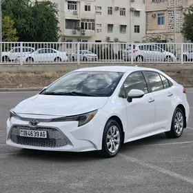 Toyota Corolla 2019