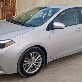 Toyota Corolla 2014