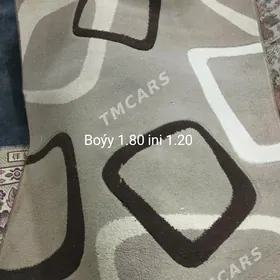 Halycalar