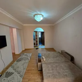 чайки срочно