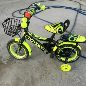 Tigir champion tazeje
