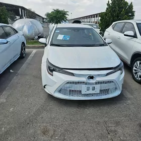 Toyota Corolla 2020