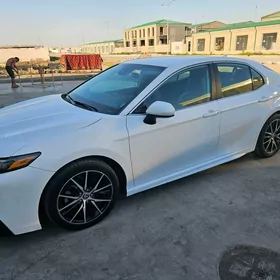 Toyota Camry 2021