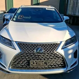 RX 350 Granat
