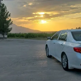 Toyota Corolla 2010