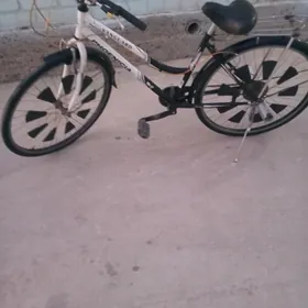 Tigir