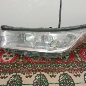 fara haylander