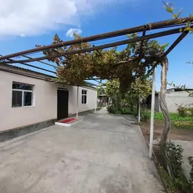 ÝANBAŞ OBA 8 SOTOK ARZAN JAÝ
