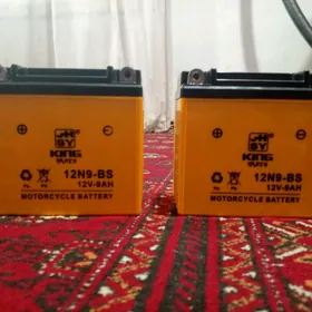 Akulmyator 12wlt --- 2  sani