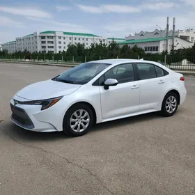 Toyota Corolla 2020