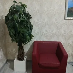 Kreslo , bag ikisi bile