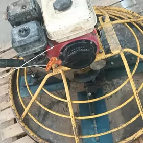 aligopter aligoptyr