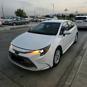 Toyota Corolla 2021