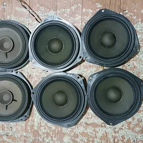 opel kalonka  arassa mordañky