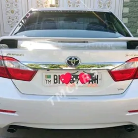 Aurion fara 2013